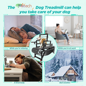 Hunde laufband Heavy Duty Umwelt freundlicher Kohlenstoffs tahl 61kg Innen-/Außen-Slatmill-Bremse Easy Move Pet Jogging Neujahrs-Mistech - Product Image 3