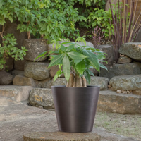 Pots en plastique écologiques résistants aux intempéries pour jardin, usage extérieur, roses, légumes/fleurs