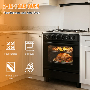 Estufa de <span class=keywords><strong>Gas</strong></span> Profesional Independiente con Horno, 4 Quemadores, Hierro, 23 Pulgadas, 10.88KW, Color Negro, Buen <span class=keywords><strong>Precio</strong></span> - Product Image 2
