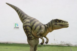 Disfraz de Dinosaurio <span class=keywords><strong>Velociraptor</strong></span> Realista para Caminar, con Marco Metálico, para Uso en Interiores, Ligero, para Adultos, Personalizado para Parques de Aventuras - Product Image 4