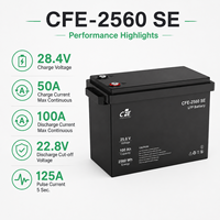 Batterie LiFePO4 LFP CFE-2560 SE 25,6V 100Ah avec BMS IP65, 3000 cycles, pour onduleur Victron Energy, solaire, hors réseau