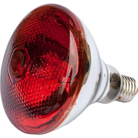 Fabricant chinois – Lampe chauffante infrarouge électrique 175W 250W 275W – Équipement de chauffage durable pour élevage animal en ferme