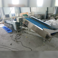 Sinaasappels Citroen Granaatappel Mango Sorteermachine Sorteermachine Aardappelroller Sorteermachine