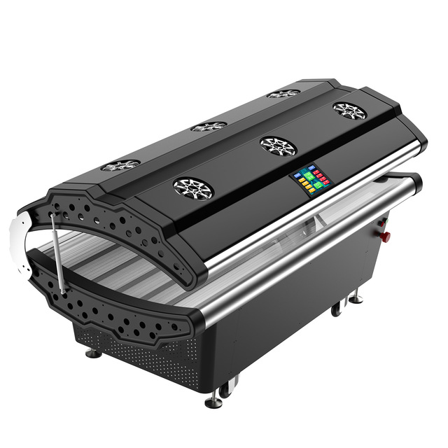 Suyzeko Drop Ship Manufacturer 635nm 660nm 850nm 940nm 1070nm Red Light Therapy Infrared LED Pro Model LED Light Bed