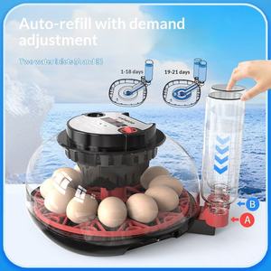 Incubateur d'œufs automatique 12 places pour volailles d'extérieur, <span class=keywords><strong>couveuse</strong></span> pour œufs de caille et de canaris - Product Image 4