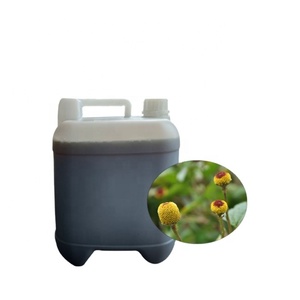 Extrait liquide concentré de fleur d'Acméla oléreuse 100 % naturel, fourni directement par l'usine - Product Image 1