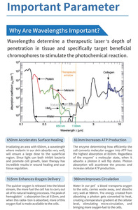 Lápiz de Terapia Láser de Bajo Nivel Kanistar MAX-VL2, Terapia Biod con Láser Frío, Longitud de Onda de 650-980 nm, Alivio del Dolor, Equipo Veterinario - Product Image 4