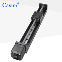 Micro-actuateur linéaire 12-24V T6 à vis sans fin, mini-moteur pas à pas linéaire, rail linéaire, course 50-800mm, petit guide linéaire pour robot
