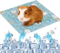 Vente en gros de lit de refroidissement pour animaux de compagnie en verre cristal de 6"x6", tapis rafraîchissant pour petits animaux, hamster, lapin, cochon d'Inde, chinchilla, furet