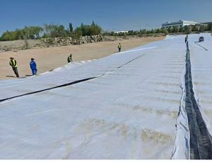 Revestimiento Compuesto de Geotextil y Geomembrana para Estanques Decorativos y Elementos Acuáticos - Product Image 2