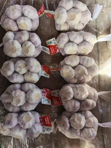 Exportadores de ajo Suministro de China Ajo natural Ails/Ajo/Alho 4,5 cm-6,5 cm Embalado por cartón/bolsa Calidad de exportación - Product Image 3