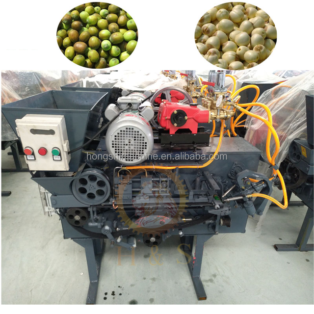 Industrial Automatic Lotus Seed Shelling & Core Removal Machine - High-Efficiency Kernel Extractor