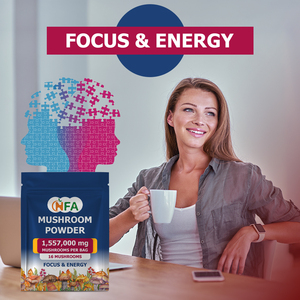 ผงเห็ดคุณภาพสูง OEM ซื้อจำนวนมาก เสริมภูมิคุ้มกัน บำรุงสมอง เพิ่มพลังงาน มีเห็ด 16 ชนิด - Product Image 6