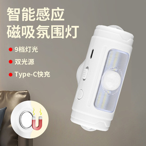 Capteur magnétique intelligent de lumière ambiante avec charge de type C, luminosité à 9 niveaux, double source de lumière pour une utilisation intérieure et extérieure - Product Image 1