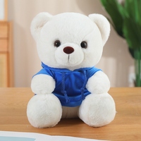 Ours en peluche certifié en usine sweat à capuche personnalisé OEM chemises de sublimation vierge Super doux en peluche PP coton rempli jouets cadeaux
