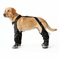 Nouvelles chaussures pour chien, respirantes, en caoutchouc antidérapant, avec sangles élastiques réglables, détails réfléchissants, durables, modernes, pour Halloween et Noël