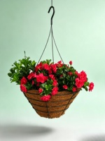 Panier suspendu en fil de ciment Carol Simple, support en fil droit, doublure en fibre de coco, style américain, pour plantes d'extérieur/intérieur