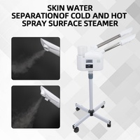 Vaporizador Facial Eléctrico Personalizado con Logotipo, Spa Frío y Caliente, Nanomister, con Funciones Hidratantes y Aclarantes