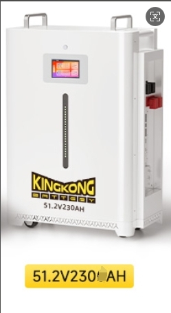 51.2V 230Ah Grade A Cell 11.7kwh