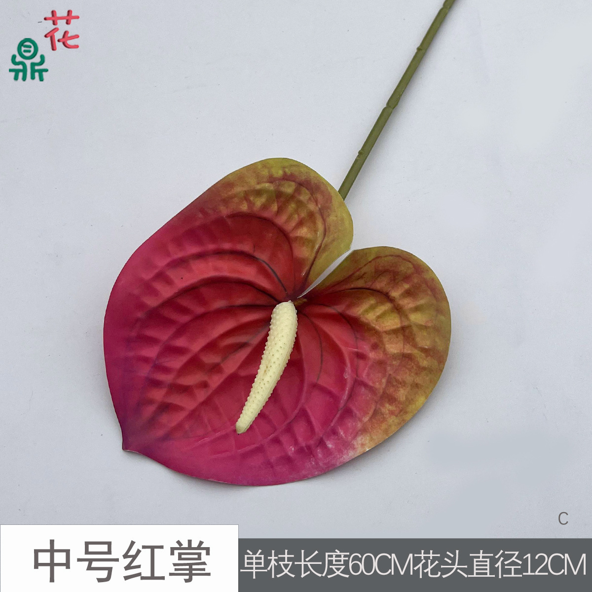 Anthurium rouge de taille moyenne C 2 rouge orangé