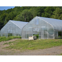 Serres à structure gothique à tunnel haut économique pour la culture de légumes et de tomates, serre à arche en film