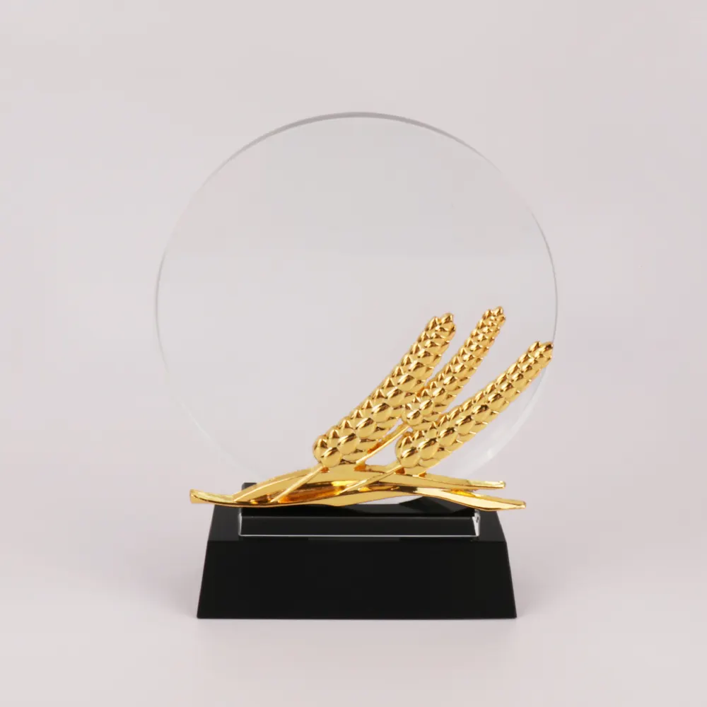 Memento del trofeo del premio di cristallo rotondo dei regali di affari commemorativi su ordinazione del ricordo