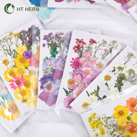 Mini-Vakuumverpackte Blütenblätter Rahmen Gepresste Konservierte Natürliche Pflanzen Getrocknete Blumen für Nägel Kerzen Harz Epoxid Handyhülle