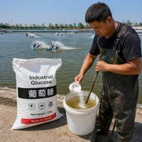 Dextrosa Monohidrato de Alta Calidad, Glucosa Industrial en Polvo, Fuente de Carbono para Aguas Residuales
