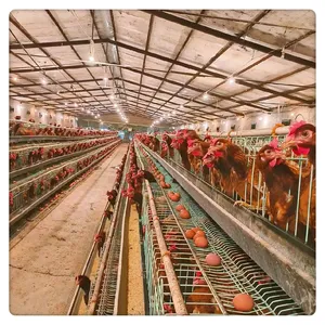 128 chickens breeding poultry farms layer cage galvanized battery laying hens cage from Factory Direct