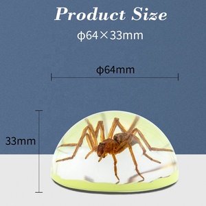 Tự Nhiên Bất Spider Côn Trùng Động Vật Nhựa Bàn Trang Trí Nội Thất Bán Cầu Dome Hình Dạng Sáng Tùy Chỉnh Đồ Trang Trí Thủ Công - Product Image 5