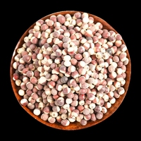 Graines de Qian Shi Gorgon Fruit, plante médicinale chinoise, Euryales Semen, fruits secs ronds, aliments santé de haute qualité pour la régime alimentaire, épices, santé rénale