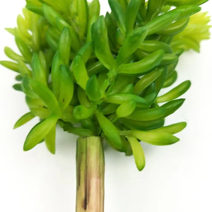 人工多肉植物ミニジューシー人工緑かわいい多肉植物盆栽装飾ホーム & オフィスグリーン装飾工場 - Product Image 6