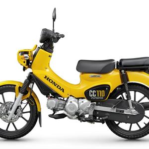 Moto Cross 110cc monocylindre 4 temps à refroidissement par air, moteur sans balais, freins avant/arrière (à main/pied), 61-80 km/h - Product Image 1