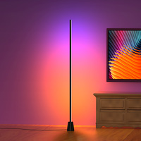 Moderne Simple Nordique Décoratif Télécommandé Lumières Coin Led Debout Rgb Lampadaires pour Salon