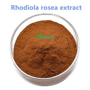 Atacado <span class=keywords><strong>Rhodiola</strong></span> <span class=keywords><strong>Rosea</strong></span> Extrato Natural <span class=keywords><strong>Rhodiola</strong></span> <span class=keywords><strong>Rosea</strong></span> (Raiz e Rizoma) 3% Rosavins Pó - Product Image 2