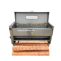 200Kg Verticale Borstel Jujube Reinigingsmachine Sterk Aanbevolen Kleine Mini Borstelwasmachine Voor Dadelpalm Op Voorraad