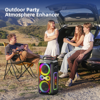 PT21M  Avec deux microphones, RGB, étanche IPX-5, enceinte de fête d'extérieur avec batterie rechargeable et entrée AUX, sortie 250W