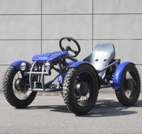 Quadricycle électrique tout-terrain 4x4 pour adultes avec pneus larges pour moto de tourisme, moto électrique 4000W, ATV électriques