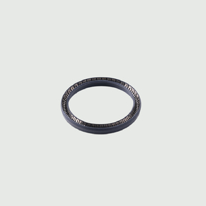 OEM áp lực cao PTFE u-cup con dấu hệ số ma sát thấp cho xi lanh thủy lực-nitrile cao su NBR O Ring FKM cao su - Product Image 2