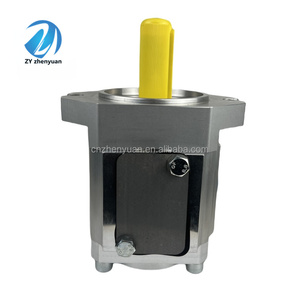 ปั๊มไฮดรอลิกเกียร์ซีรีส์ EIPC EIPC3 EIPC5 EIPC6 รุ่น 890-EI-0630-RK2-C311 EIPC3-063RA26-10 EIPC3-063RA26-1X 6000300253 ECKERLE Hydr - Product Image 4
