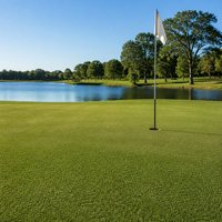 Gazon artificiel intérieur et extérieur, mini-golf, tapis de gazon vert, gazon de golf