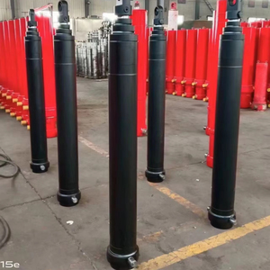 Tipo personalizado profissional Cilindros hidráulicos Tonelagem alta atuação do cilindro da imprensa hidráulica do pistão