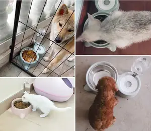 Automatische Water Dispenser Fles, Dubbele Hond Kat Kommen, huisdieren Water En Voedsel Kom Set Met Afneembare Roestvrijstalen Kom