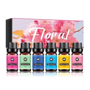 Fournisseur Ensemble d'huiles essentielles de menthe poivrée Bouteille de 10ml avec vis et couvercle en plastique noir Huile de parfum d'aromathérapie pour la maison et la chambre Diffuseur