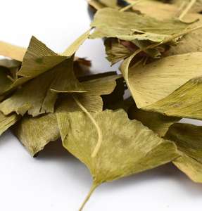 Bai Guo Ye Feuille De <span class=keywords><strong>Ginkgo</strong></span> Séchage Brut Nouvelles <span class=keywords><strong>Feuilles</strong></span> De <span class=keywords><strong>Ginkgo</strong></span> <span class=keywords><strong>Biloba</strong></span> Séchées Naturelles De Haute Qualité - Product Image 4
