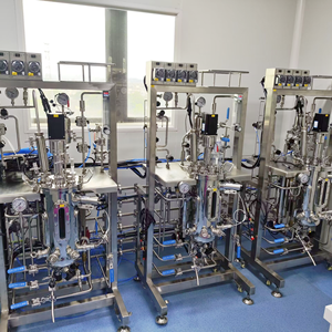 Estándar DE LA UE de alta calidad 10L 3 paralelo de acero inoxidable biorreactor recipiente a presión motor Siemens Control automático grado BLBIO - Product Image 2