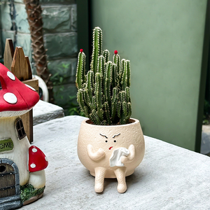 Jardinière <span class=keywords><strong>de</strong></span> succulentes en forme <span class=keywords><strong>de</strong></span> méchant <span class=keywords><strong>de</strong></span> dessin animé écologique en résine enduite d'époxy légère durable pour créatif et intéressant - Product Image 1