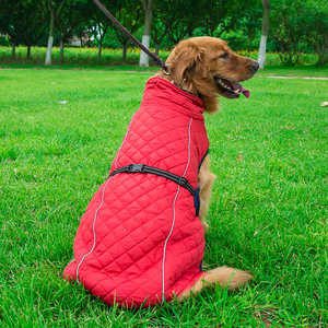 Alta calidad gato Onesie mascota chaqueta de invierno Gran Labrador ropa perro accesorios perro diseñador ropa proveedores - Product Image 3