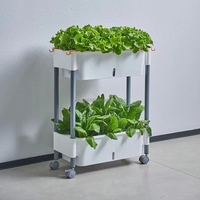 Chariot de plantation multi-niveaux en plastique PP écologique et durable, auto-arrosant, gain de place, pour jardin vertical intérieur/extérieur, petit format