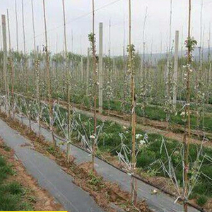 Cao thấm cảnh quan vải cỏ dại rào cản Mat dệt/Nhựa nông nghiệp che phủ mặt đất khối cỏ dại kiểm soát chặn - Product Image 5